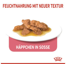 Royal Canin Feuchtnahrung Häppchen in Sosse mit neuer Textur auf einem Teller.