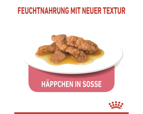 Royal Canin Feuchtnahrung Häppchen in Sosse mit neuer Textur auf einem Teller.