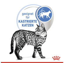 Symbolbild Katzenfutter für kastrierte Katzen mit Royal Canin Logo