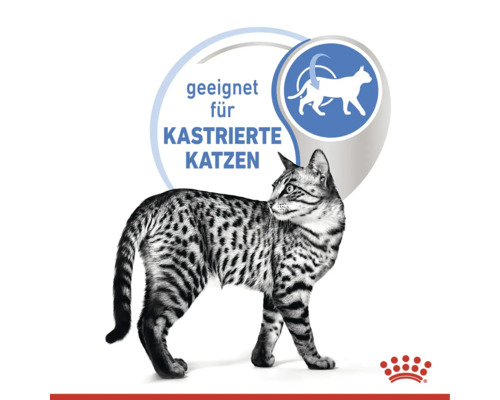 Symbolbild Katzenfutter für kastrierte Katzen mit Royal Canin Logo