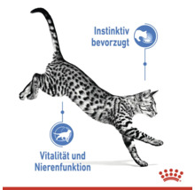 Eine springende Katze mit Hinweisen zu instinktiver Bevorzugung, Vitalität und Nierenfunktion sowie dem Royal Canin Logo.