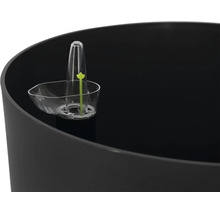 Indicateur de niveau d eau pour bac à plantes en matière plastique avec affichage du niveau de remplissage