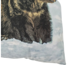 Coussin décoratif avec motif ours dans la neige en impression photo détaillée