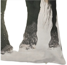 Housse de coussin décorative avec motif de cheval en gros plan sur les jambes