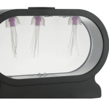 Dekorative Quallenlampe mit drei künstlichen Quallen in einem ovalen Gehäuse mit LED Beleuchtung.