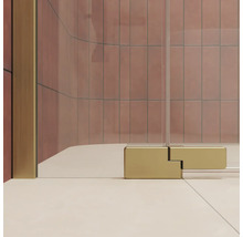 Charnière de paroi de douche en métal aspect doré pour portes de douche en verre dans une salle de bain moderne.