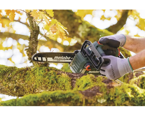 Eine Person benutzt eine akkubetriebene Metabo Kettensäge zum Schneiden eines moosbewachsenen Astes in einem herbstlichen Garten.