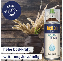 Belton Free Aqua Colours Sprühlack in Schokoladenbraun matt für witterungsbeständige Lackierungen mit hoher Deckkraft.
