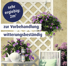 Belton Aqua Grundierung Spraydose zur Vorbehandlung von Oberflächen für zwei Quadratmeter im Gartenbereich