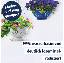 Zwei als Pflanzgefässe umfunktionierte Küchensiebe mit Blumen bepflanzt, mit Hinweisen zur Eignung für Kinderspielzeug und Wasserbasis des Lacks.