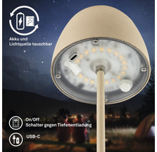 Lampe de table LED avec batterie et source lumineuse remplaçables, port USB-C et protection contre la décharge profonde en extérieur.