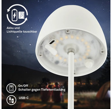 LED Tischleuchte mit Akku und tauschbarer Lichtquelle, USB-C Anschluss und Tiefentladeschutzschalter vor abendlicher Campingkulisse.