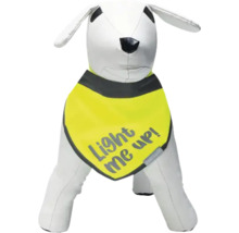 Bandana réfléchissant pour chien avec inscription Light me up sur un modèle de chien