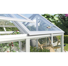 Lucarne ouverte d'une serre avec cadre en aluminium et panneaux de verre, vue sur des plantes de jardin et des tomates.