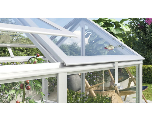 Lucarne ouverte d'une serre avec cadre en aluminium et panneaux de verre, vue sur des plantes de jardin et des tomates.