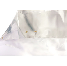Trois petites crevettes Artemia vivantes dans un sac en plastique transparent comme nourriture pour poissons