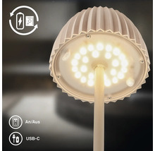 Lampe de table LED avec batterie rechargeable, port USB C et interrupteur marche arret.