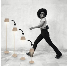 Une femme marche à côté de quatre lampadaires réglables en hauteur avec abat-jour nervuré, présentés par paliers de hauteur décroissants.