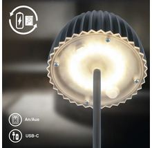 Lampe de table LED avec fonctionnement sur batterie et port de charge USB C ainsi qu un interrupteur marche arrêt