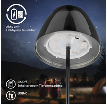 LED Tischleuchte mit austauschbarem Akku und Leuchtmittel, USB-C Anschluss und Tiefentladeschutzschalter vor einem nächtlichen Landschaftshintergrund.