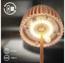 Wiederaufladbare LED Leuchte mit USB C Anschluss und Ein Ausschalter in runder Form mit geripptem Schirm