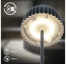 LED Tischleuchte mit Akkubetrieb und USB C Anschluss sowie Ein Aus Schalter