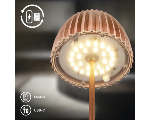 LED Tischleuchte mit Akku und USB-C Ladeanschluss und Schalter für einfaches Ein- und Ausschalten