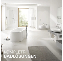 Salle de bain spacieuse et lumineuse avec baignoire îlot, douche de plain-pied, toilettes suspendues, bidet et lavabo pour une solution complète.