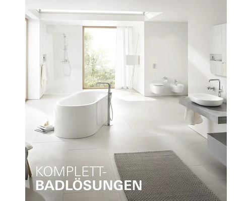 Salle de bain spacieuse et lumineuse avec baignoire îlot, douche de plain-pied, toilettes suspendues, bidet et lavabo pour une solution complète.