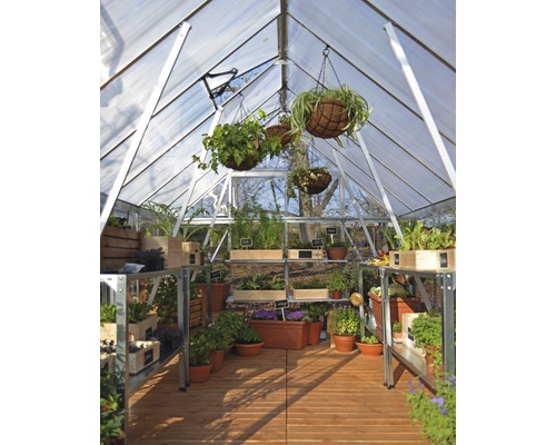 Intérieur d''une serre avec des plantes en pot et des paniers suspendus