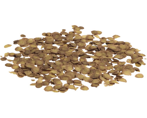 Tas de lamelles en bois pour fraiseuse à lamelles