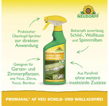 Neudorff Promanal AF Neu Schild- und Wollausfrei Insektizid Sprühflasche zur Bekämpfung von Schildläusen, Wollläusen und Spinnmilben an Pflanzen.
