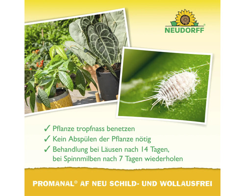 Neudorff Promanal AF Neu Schild- und Wollausfrei Spray mit Anwendungshinweisen für Zimmerpflanzen gegen Schädlinge wie Wollläuse.
