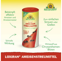 Neudorff Loxiran Ameisenstreumittel zur Bekämpfung von Ameisen und Ameisennestern zum Streuen oder Gießen mit Wirkstoff aus Chrysanthemenblüten.