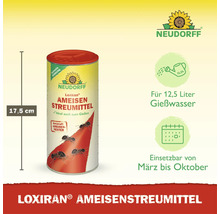 Neudorff Loxiran Ameisen Streumittel zur Bekämpfung von Ameisennestern mit einer Höhe von 17,5 Zentimetern, ergiebig für 12,5 Liter Gießwasser.