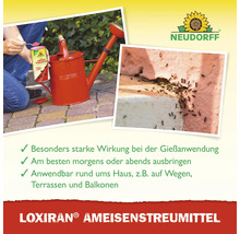 Neudorff Loxiran Ameisenstreumittel Anwendung mit Gießkanne zur Bekämpfung von Ameisen auf Wegen, Terrassen und Balkonen.