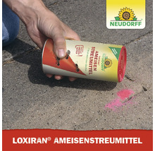 Eine Hand streut Neudorff Loxiran Ameisenstreumittel auf eine Pflasterfläche zur Ameisenbekämpfung. Neudorff Logo.