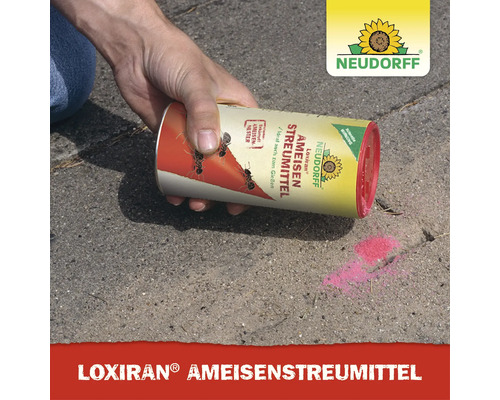 Eine Hand streut Neudorff Loxiran Ameisenstreumittel auf eine Pflasterfläche zur Ameisenbekämpfung. Neudorff Logo.