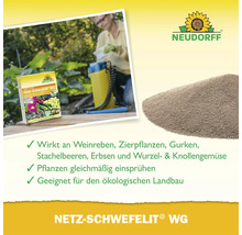 Neudorff Netz-Schwefelit WG gegen Pilzkrankheiten an Pflanzen, geeignet für ökologischen Landbau.