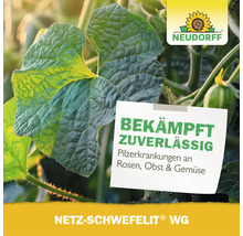 Neudorff Logo mit Netz Schwefelit WG Mittel zur Bekämpfung von Pilzkrankheiten an Rosen, Obst und Gemüse.
