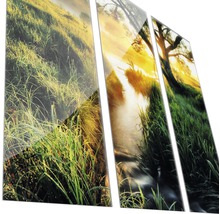 Dreiteiliges Wandbild mit Naturmotiv