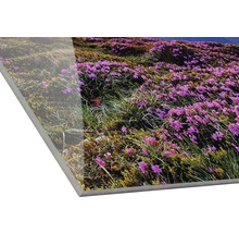 Glasbild Alpenrosen II 20x20 cm