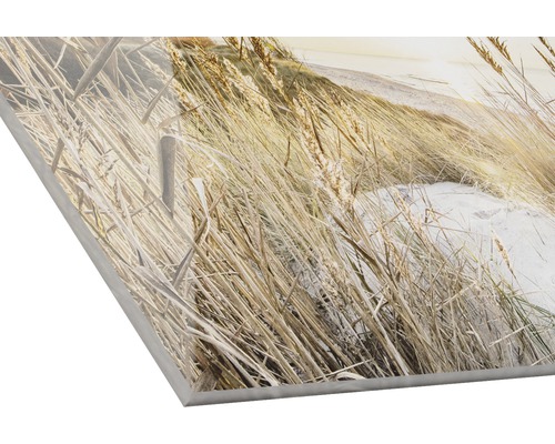 Acrylglasbild mit Strandhafermotiv