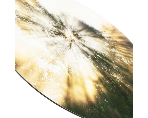 Nahaufnahme einer Platte mit Waldmotiv