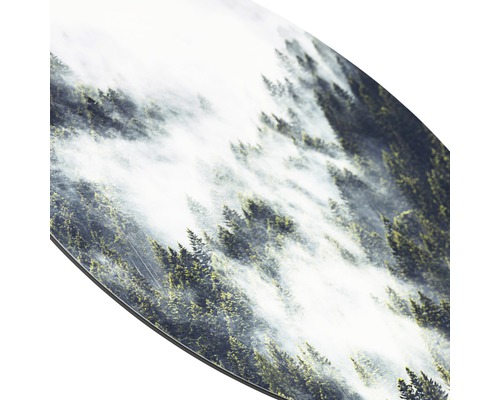 Gros plan sur une surface de snowboard avec un motif de forêt