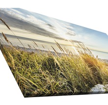 Leinwandbild mit Gras am Strand und Meer