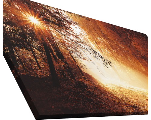 Waldlandschaft auf Leinwand mit Sonnenlicht