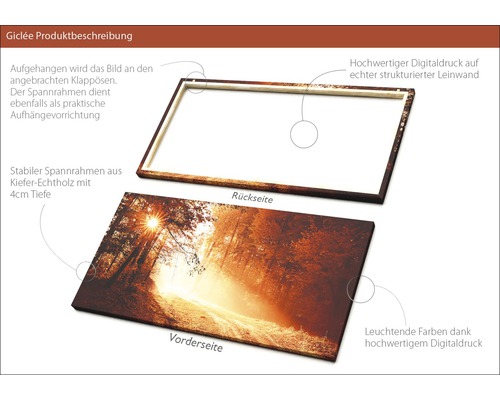 Leinwandbild mit Waldmotiv, Vorder- und Rückseite