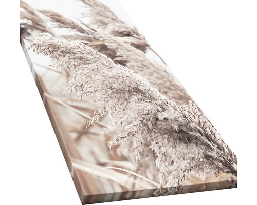 Toile décorative avec des graminées