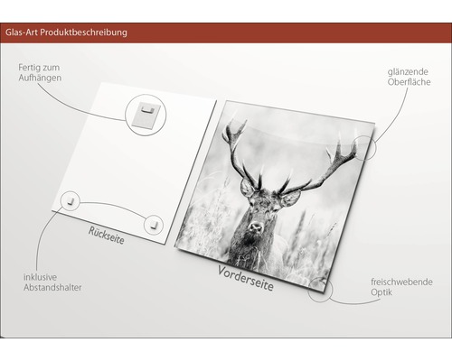 Glasbild mit Hirschmotiv, inklusive Aufhängevorrichtung und Abstandshalter